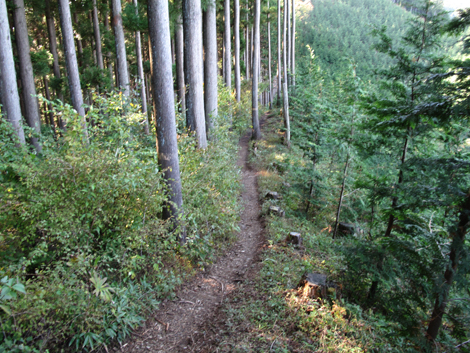 20171026hike (216)